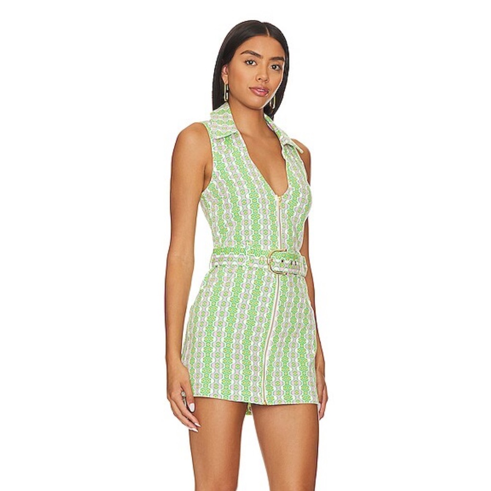 Show Me Your MuMu Green and White Mini Dress